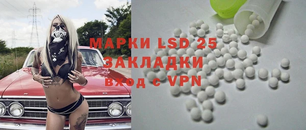 стаф Михайловск