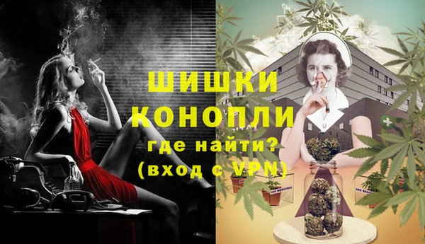 стаф Михайловск