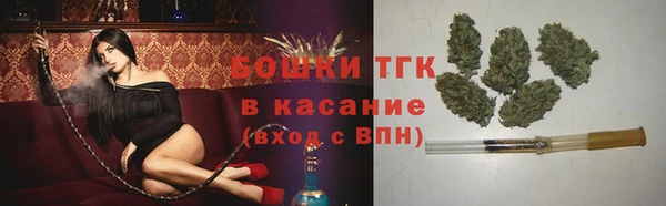 стаф Михайловск