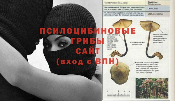 метадон Михайловка