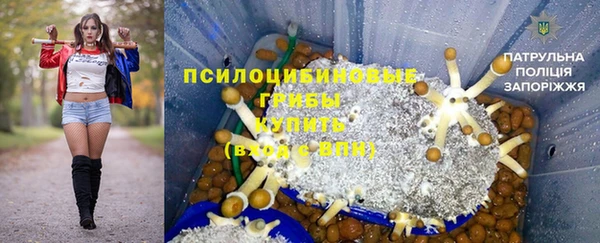 стаф Михайловск