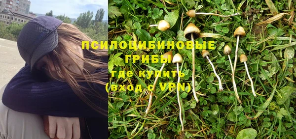 стаф Михайловск