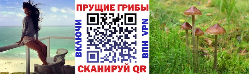 Галлюциногенные грибы MAGIC MUSHROOMS наркошоп MEGA зеркало Мышкин